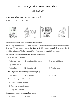 Bộ đề thi học kì 2 lớp 2 môn tiếng Anh | Family and Friends 2