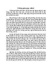 Tả cây phượng vĩ - Kỉ niệm tuổi học trò và mùa hè rực rỡ