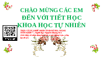 Giáo án điện tử Khoa học tự nhiên 7 bài 11 Chân trời sáng tạo : Tốc độ và an toàn giao thông