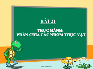 Chủ đề 8. Bài 21: Thực hành Phân chia các nhóm thực vật | Bài giảng PowerPoint KHTN 6 | Cánh diều