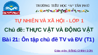 Giáo án điện tử Tự nhiên và xã hội 1 bài 21 Chân trời sáng tạo : Ôn tập chủ đề Thực vật và Động vật