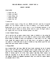 Organizational Analysis Group Task 3A Report môn Sáp nhập, mua lại và tái cấu trúc doanh nghiệp  | Trường Đại học Kinh tế Thành phố Hồ Chí Minh