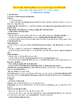 Chuyên đề KHTN 8 Kết nối tri thức bài 37 Hệ thần kinh và giác quan ở người