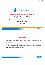 Bài giảng về Quá trình sao chép DNA môn Sinh học di truyền | Đại học Y Dược Thành phố Hồ Chí Minh