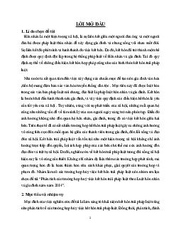 Tiểu luận về "Phân tích các trường hợp huỷ việc kết hôn trái pháp luật"