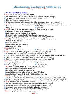 Bộ đề ôn thi HK2 Vật Lý 11 năm học 2022-2023