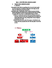 Bài 4: Chuyển Hóa Hemoglobin - Quy Trình Thoái Hóa và Tái Tạo