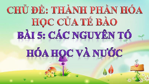 Bài 5: Các nguyên tố hóa học | Bài giảng PowerPoint môn Sinh học 10 | Chân trời sáng tạo