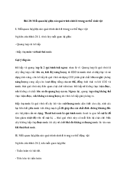 Giải Sinh học 11 Bài 28: Mối quan hệ giữa các quá trình sinh lí trong cơ thể sinh vật| Kết nối tri thức