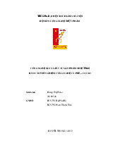 Báo cáo thí nghiệm cà phê cacao_Phùng Thị Thảo| Môn Công nghệ sản phẩm nhiệt đới| Trường Đại học Bách Khoa Hà Nội