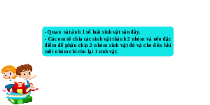Giáo án điện tử Khoa học tự nhiên 6 bài 23 Chân trời sáng tạo : Thực hành xây dựng khóa lưỡng phân