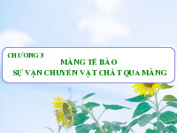 Bài giảng chương 3 màng tế bào | Sinh học 10