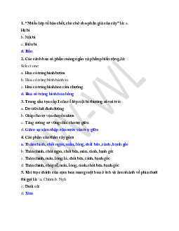 Câu hỏi trắc nghiệm ôn tập Dược học về Thực vật dược có đáp án