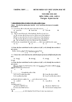 Đề thi học kì 2 môn tiếng Anh lớp 11 năm 2022 - 2023 | đề 4