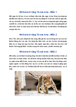 Kết bài mở rộng Tả con mèo | Tập làm văn 4