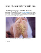 Bệnh cầu trùng trên heo: nguyên nhân và cách điều trị | Khoa chăn nuôi - thú y | Đại học Nông Lâm Thành phố Hồ Chí Minh