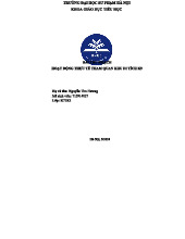 Bài Thu Hoạch Thực Tế Khu Di Tích K9 - Đá Chông - K71K