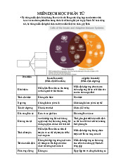 Tóm tắt ôn thi cuối kỳ Môn Miễn dịch học | Đại học Khoa học và Công nghệ Hà Nội