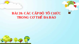 Giáo án điện tử Khoa học tự nhiên 6 bài 20 Chân trời sáng tạo : Các cấp độ tổ chức trong cơ thể đa bào