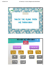 B4. Thuốc Gây Tê và Gây Mê Tác Động Lên Hệ Thần Kinh môn Hóa Dược| Trường Đại học Y Dược, Đại học Quốc gia Hà Nội