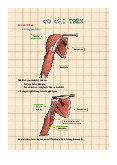 Cơ chi trên - Giải Phẫu 1 | Trường Đại học Nam Cần Thơ