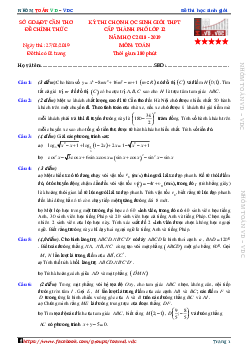 Đề thi học sinh giỏi Toán 12 THPT năm 2018 – 2019 sở GD&ĐT Cần Thơ