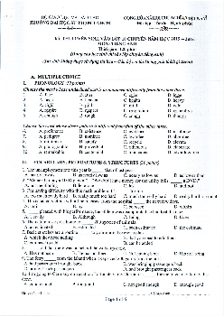 Đề thi Tuyển sinh vào lớp 10 Đại học Sư phạm TP HCM môn thi Tiếng Anh (chuyên) năm 2015-2016