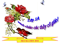 Giáo án điện tử Toán học 1 Vì sự bình đẳng: Luyện tập