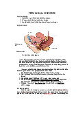 Viêm âm đạo cổ tử cung  - Môn sinh lý  | Đại học Y dược Cần Thơ
