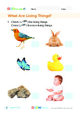 Tài liệu tiếng anh sưu tầm. Living and Non living things_01