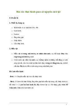 Giải KHTN Lớp 6 Bài 31: Thực hành quan sát nguyên sinh vật | Kết nối tri thức
