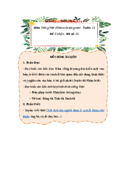 Bài tập cuối tuần Tiếng Việt lớp 4 Chân trời sáng tạo - Tuần 12