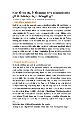 Kinh tế học chuẩn tắc (normative economics) là gì? Kinh tế học thực chứng là gì?