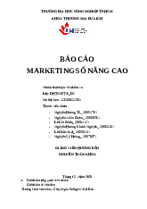 Tiểu luận cuối kỳ báo cáo marketing số nâng cao | Digital marketing  | Trường Đại học Công nghiệp TP.HCM