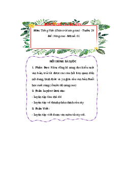Bài tập cuối tuần Tiếng Việt lớp 4 Chân trời sáng tạo Tuần 24 Nâng cao
