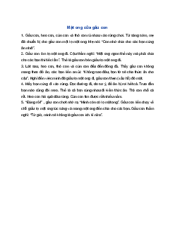 Kể chuyện Mật ong của gấu con | Tiếng việt 1 Kết nối tri thức