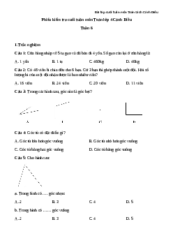 Phiếu bài tập cuối tuần lớp 4 môn Toán nâng cao Tuần 6 Cánh Diều