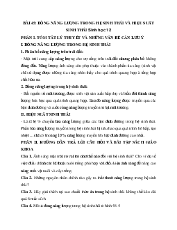 Sinh học 12 bài 45: Dòng năng lượng trong hệ sinh thái và hiệu suất sinh thái