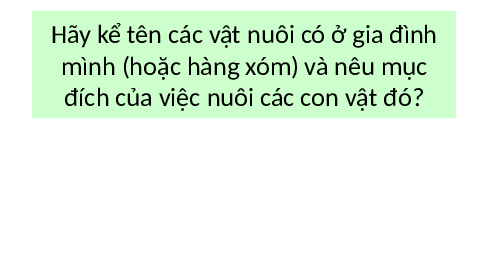 Giáo án điện tử Công nghệ 7 Bài 9 Kết nối tri thức: Giới thiệu về chăn nuôi