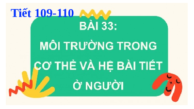 Giáo án điện tử Khoa học tự nhiên 8 Bài 33 Cánh diều: Môi trường trong cơ thể và hệ bài tiết ở người