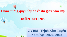 Giáo án điện tử Khoa học tự nhiên 6 bài 22 Chân trời sáng tạo : Phân loại thế giới sống