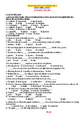 Đề Cương Ôn Tập Học Kỳ 1 Tiếng Anh 8 Global Success 2025-2026
