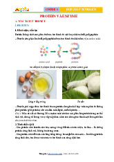 Lý thuyết và bài tập Chủ đề 3: Hợp chất Nitrogen - Protein và Enzyme môn Hoá học 12