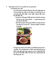 Quá trình rang: Khái niệm, yêu cầu và biến đổi nguyên liệu | Môn Công nghệ thực phẩm - Trường Đại học Nông Lâm, Đại học Huế