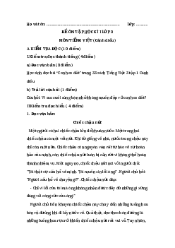 Đề thi học kì 1 lớp 3 môn Tiếng Việt sách Cánh diều - Đề 1