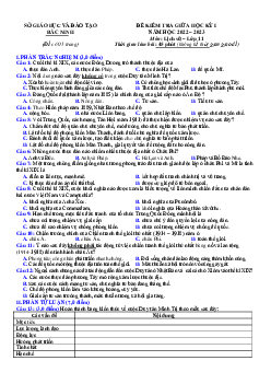 Đề thi giữa HK1 môn Lịch Sử 11 Sở GD Bắc Ninh 2022-2023 (có đáp án)