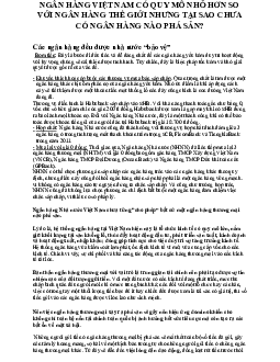 Lý thuyết về Ngân hàng việt nam có quy mô nhỏ hơn so với ngân hàng thế giới nhưng tại sao chưa có ngân hàng nào phá sản?