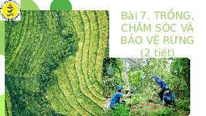 Giáo án điện tử Công nghệ 7 Bài 7 Chân trời sáng tạo: Trồng, chăm sóc và bảo vệ rừng