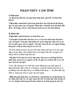 Lý thuyết về :Nhận thức cảm tính