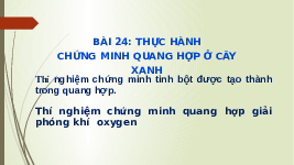 Giáo án điện tử Khoa học tự nhiên 7 bài 24 Chân trời sáng tạo : Thực hành Chứng minh quang hợp ở cây xanh